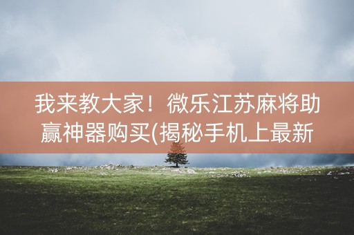 我来教大家！微乐江苏麻将助赢神器购买(揭秘手机上最新神器下载)