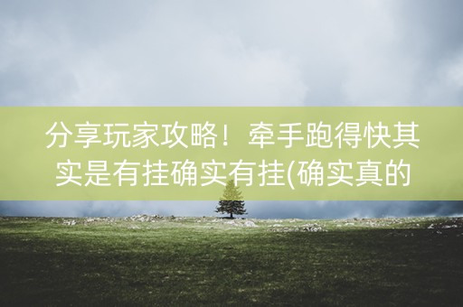 分享玩家攻略！牵手跑得快其实是有挂确实有挂(确实真的有挂)