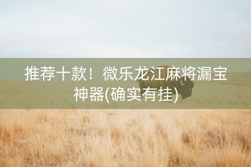 推荐十款！微乐龙江麻将漏宝神器(确实有挂)