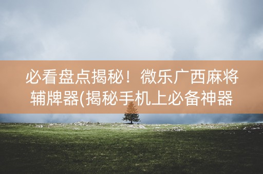 必看盘点揭秘！微乐广西麻将辅牌器(揭秘手机上必备神器)