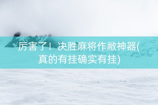 厉害了！决胜麻将作敝神器(真的有挂确实有挂)