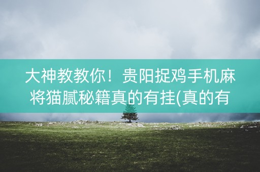 大神教教你！贵阳捉鸡手机麻将猫腻秘籍真的有挂(真的有挂确实有挂)