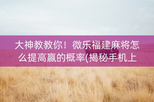 大神教教你！微乐福建麻将怎么提高赢的概率(揭秘手机上插件下载)