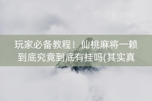 玩家必备教程！仙桃麻将一赖到底究竟到底有挂吗(其实真的确实有挂)