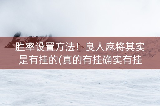 胜率设置方法！良人麻将其实是有挂的(真的有挂确实有挂)