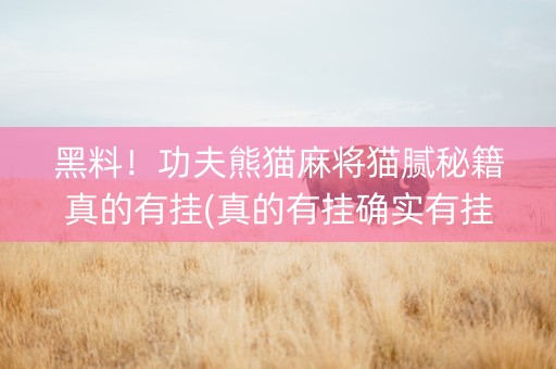 黑料！功夫熊猫麻将猫腻秘籍真的有挂(真的有挂确实有挂)