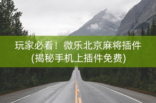 玩家必看！微乐北京麻将插件(揭秘手机上插件免费)