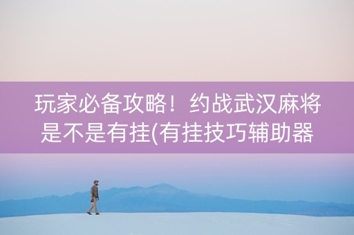 玩家必备攻略！约战武汉麻将是不是有挂(有挂技巧辅助器)