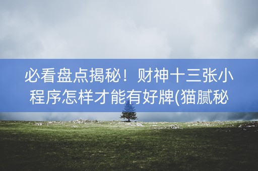 必看盘点揭秘！财神十三张小程序怎样才能有好牌(猫腻秘籍真的有挂)