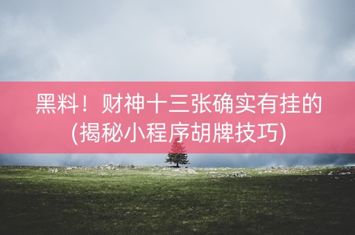 黑料！财神十三张确实有挂的(揭秘小程序胡牌技巧)