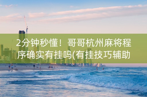 2分钟秒懂！哥哥杭州麻将程序确实有挂吗(有挂技巧辅助器)