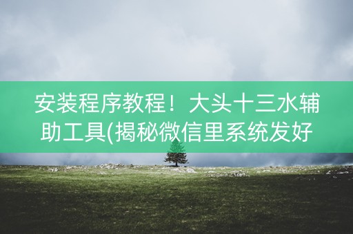 安装程序教程！大头十三水辅助工具(揭秘微信里系统发好牌)
