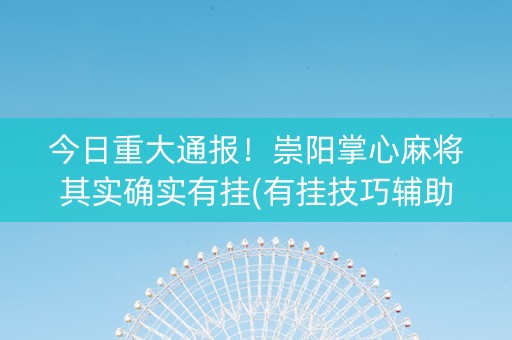 今日重大通报！崇阳掌心麻将其实确实有挂(有挂技巧辅助器)