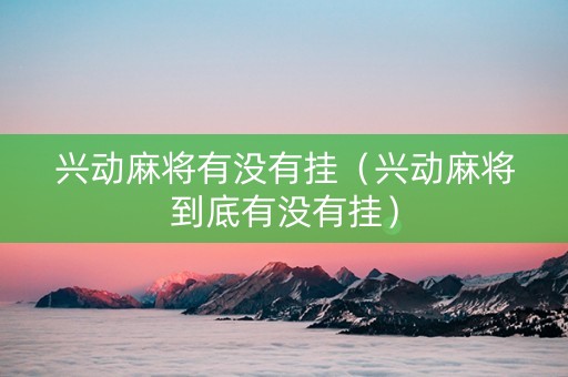 兴动麻将有没有挂（兴动麻将到底有没有挂）