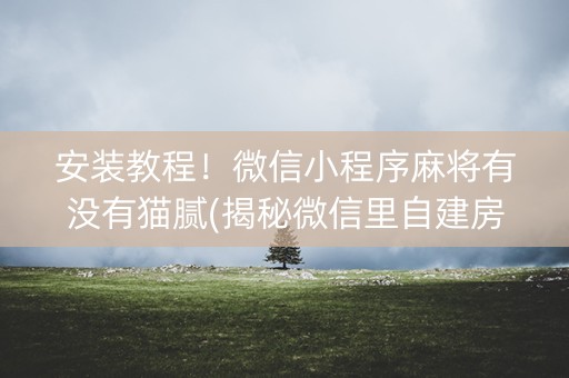 安装教程！微信小程序麻将有没有猫腻(揭秘微信里自建房怎么赢)