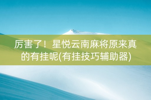 厉害了！星悦云南麻将原来真的有挂呢(有挂技巧辅助器)