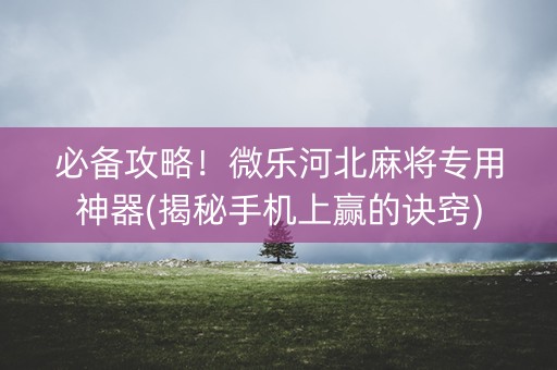 必备攻略！微乐河北麻将专用神器(揭秘手机上赢的诀窍)