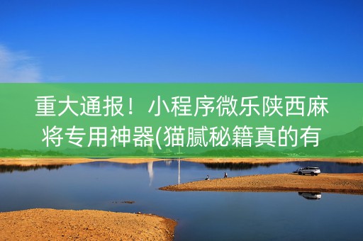 重大通报！小程序微乐陕西麻将专用神器(猫腻秘籍真的有挂)