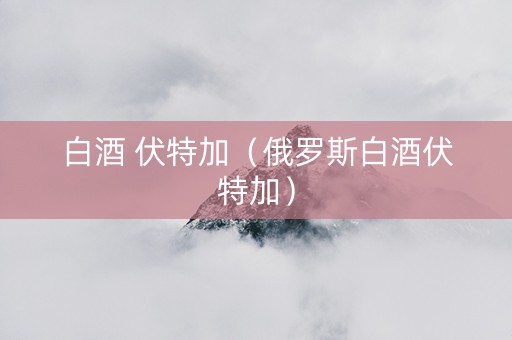 白酒 伏特加（俄罗斯白酒伏特加）