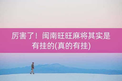 厉害了！闽南旺旺麻将其实是有挂的(真的有挂)