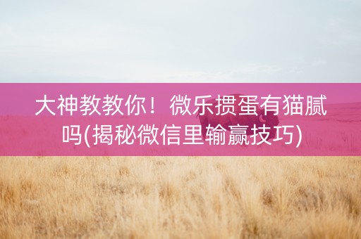 大神教教你！微乐掼蛋有猫腻吗(揭秘微信里输赢技巧)