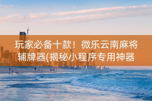 玩家必备十款！微乐云南麻将辅牌器(揭秘小程序专用神器)