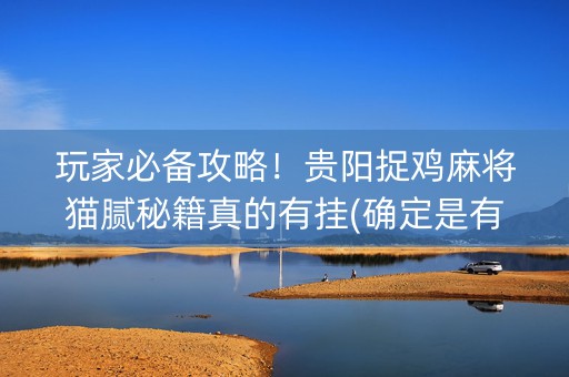 玩家必备攻略！贵阳捉鸡麻将猫腻秘籍真的有挂(确定是有挂)