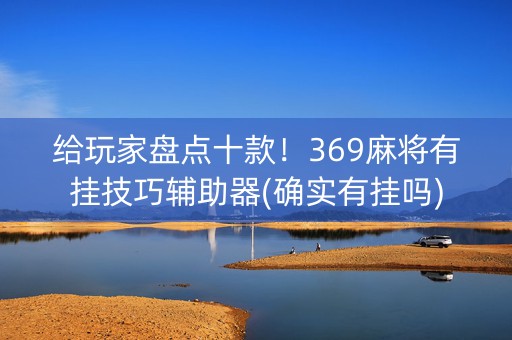 给玩家盘点十款！369麻将有挂技巧辅助器(确实有挂吗)