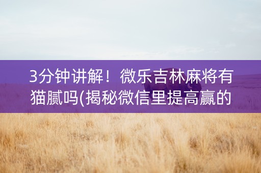 3分钟讲解！微乐吉林麻将有猫腻吗(揭秘微信里提高赢的概率)