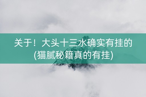 关于！大头十三水确实有挂的(猫腻秘籍真的有挂)