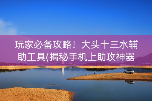 玩家必备攻略！大头十三水辅助工具(揭秘手机上助攻神器)