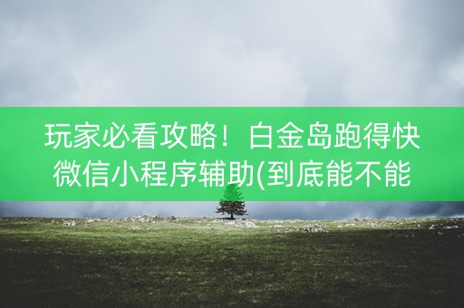 玩家必看攻略！白金岛跑得快微信小程序辅助(到底能不能开挂)