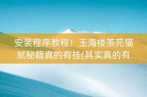 安装程序教程！玉海楼茶苑猫腻秘籍真的有挂(其实真的有挂)