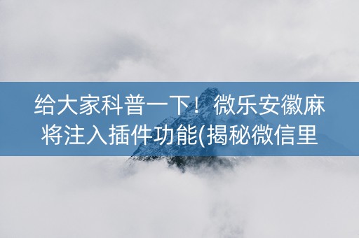 给大家科普一下！微乐安徽麻将注入插件功能(揭秘微信里插件购买)