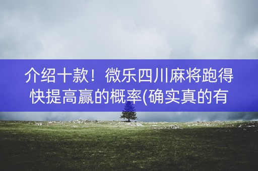 介绍十款！微乐四川麻将跑得快提高赢的概率(确实真的有挂)