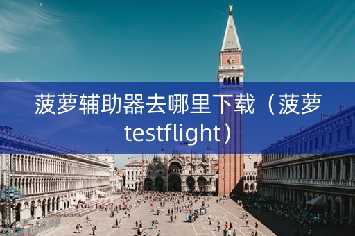 菠萝辅助器去哪里下载（菠萝testflight）
