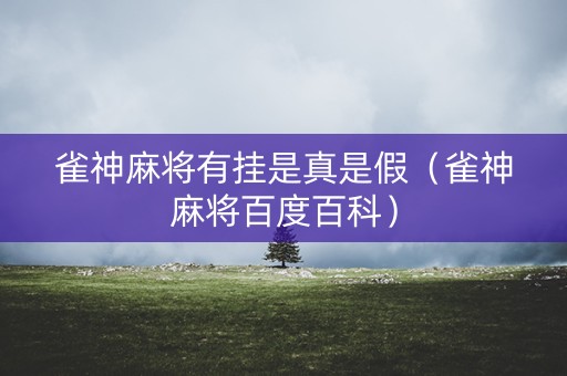 雀神麻将有挂是真是假（雀神麻将百度百科）