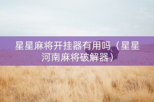 星星麻将开挂器有用吗（星星河南麻将破解器）