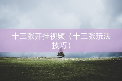 十三张开挂视频（十三张玩法技巧）