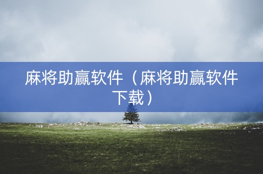 麻将助赢软件（麻将助赢软件下载）