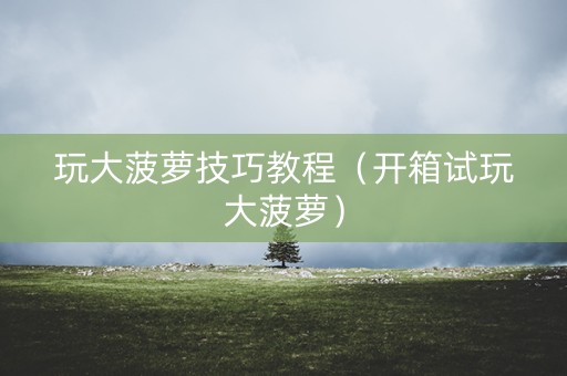 玩大菠萝技巧教程（开箱试玩大菠萝）