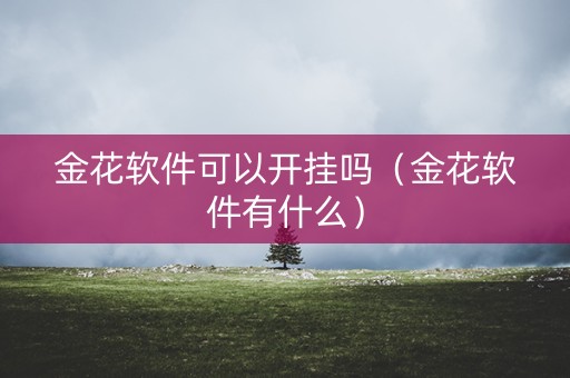 金花软件可以开挂吗（金花软件有什么）