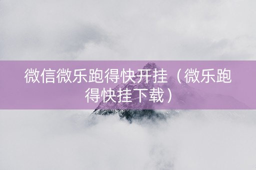 微信微乐跑得快开挂（微乐跑得快挂下载）