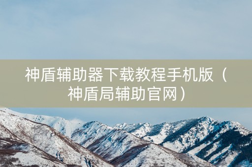 神盾辅助器下载教程手机版（神盾局辅助官网）