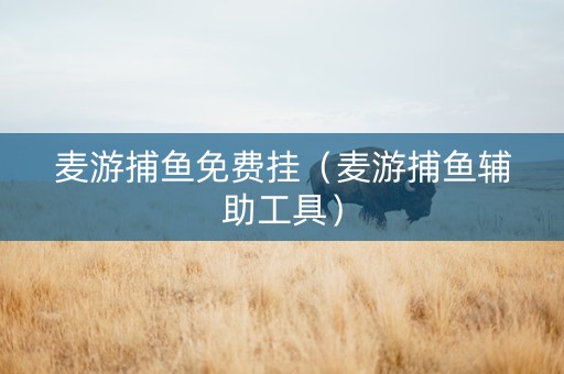 麦游捕鱼免费挂（麦游捕鱼辅助工具）