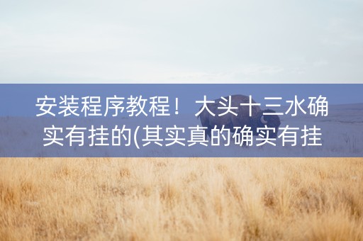 安装程序教程！大头十三水确实有挂的(其实真的确实有挂)