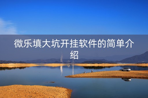 微乐填大坑开挂软件的简单介绍