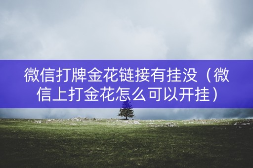 微信打牌金花链接有挂没（微信上打金花怎么可以开挂）