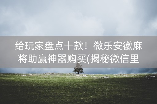 给玩家盘点十款！微乐安徽麻将助赢神器购买(揭秘微信里攻略插件)