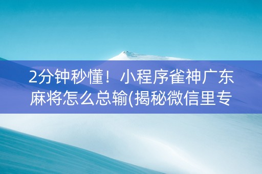 2分钟秒懂！小程序雀神广东麻将怎么总输(揭秘微信里专用神器)